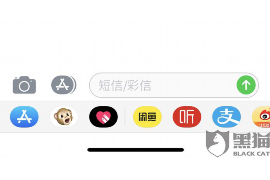 措勤债务清欠服务